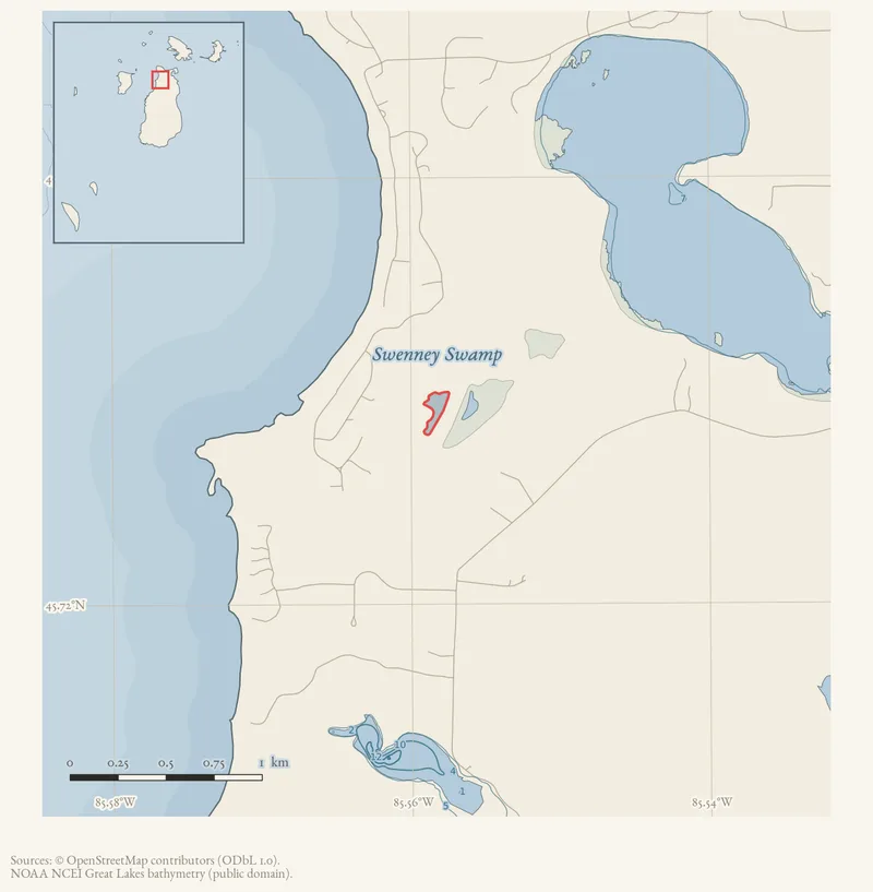 Locator map: Swenney Swamp highlighted within the Beaver Island archipelago