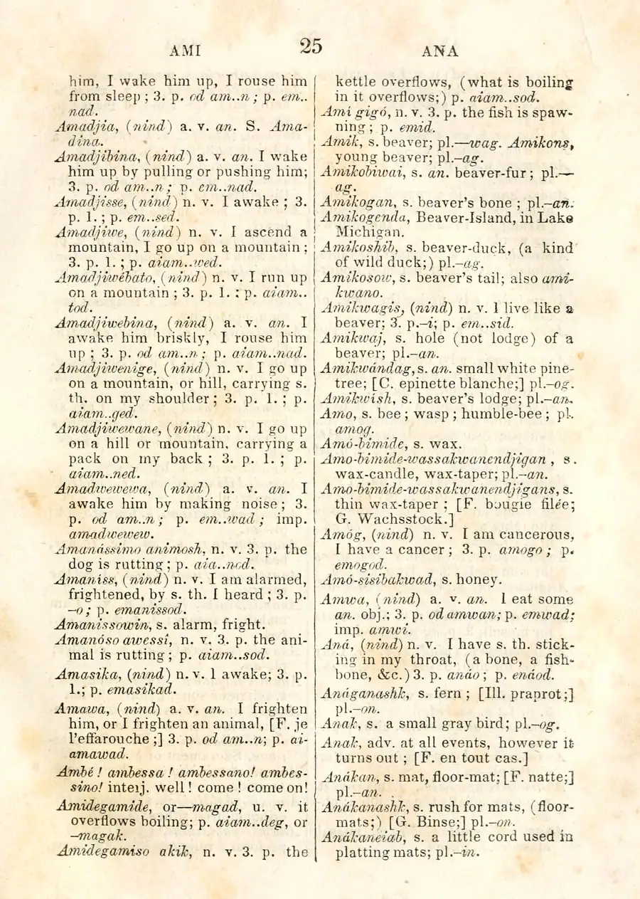 Scanned document page: Baraga, Dictionary of the Otchipwe Language (1853).