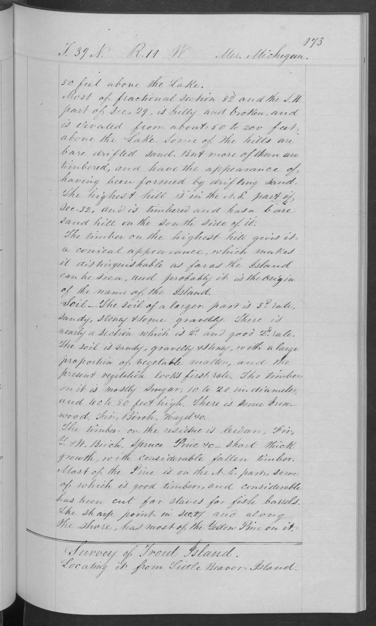 Scanned page: field note volume 168138 page 0173 trout island survey, held by Bureau of Land Management, General Land Office Records.