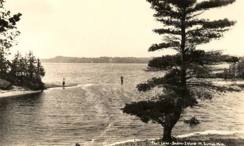 Black-and-white view across calm water, with two waders and trees framing a distant wooded shore.