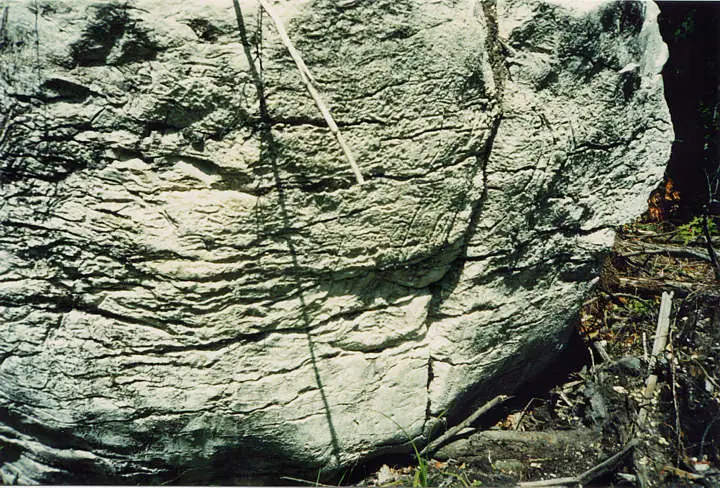 Close view of a pale, layered rock face with deep fractures and fallen branches at its base.