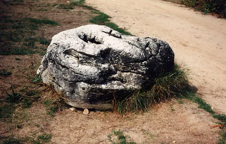 A large weathered rock rests beside a sandy path amid sparse grass.