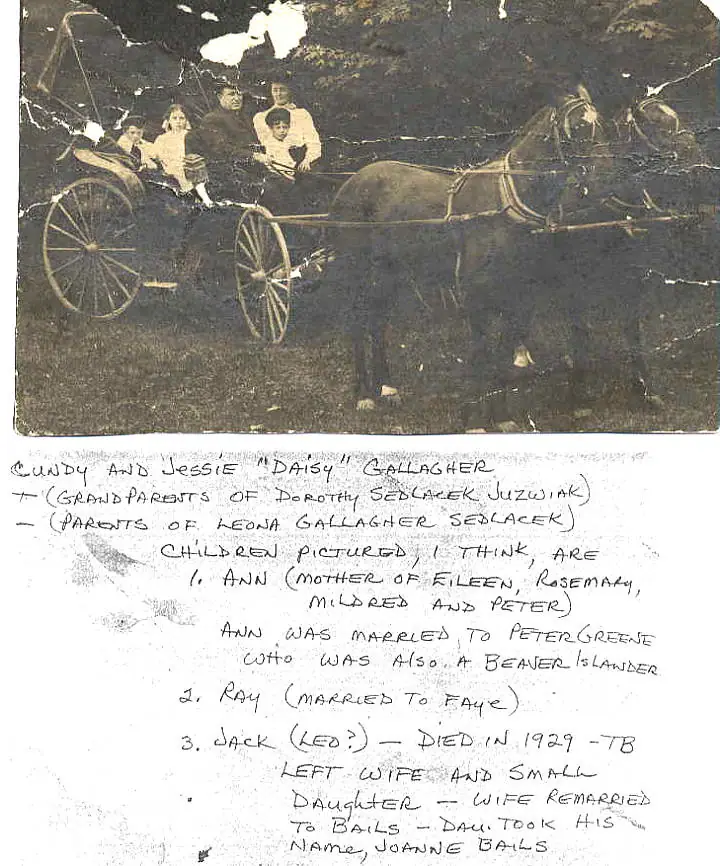 A damaged historical photograph shows four people in a horse-drawn carriage, with a handwritten family note below.