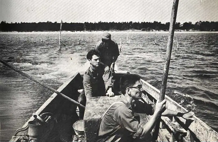 Three men work aboard a small wooden fishing boat among poles in shallow water.