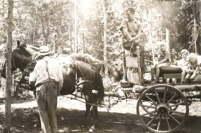A horse-drawn wagon with several people stopped among trees.