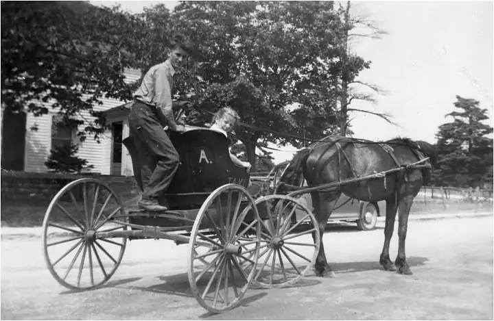 Black-and-white photograph of a horse-drawn carriage with two people outside a house.