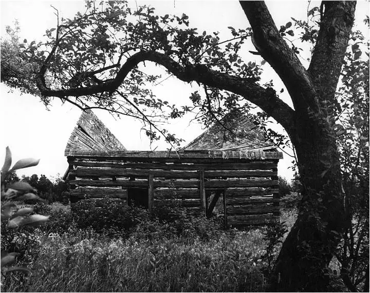 Black-and-white photograph of a weathered log structure beneath a large spreading tree.