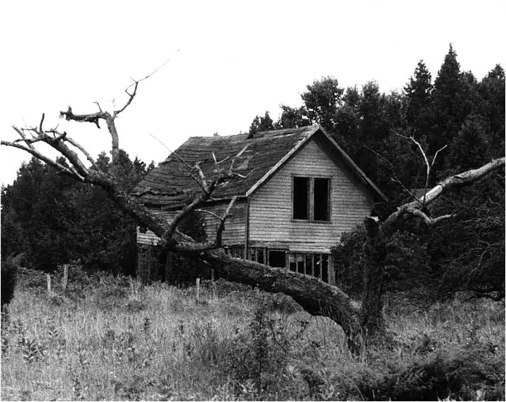 Weathered wooden house behind a large fallen tree in a grassy clearing.