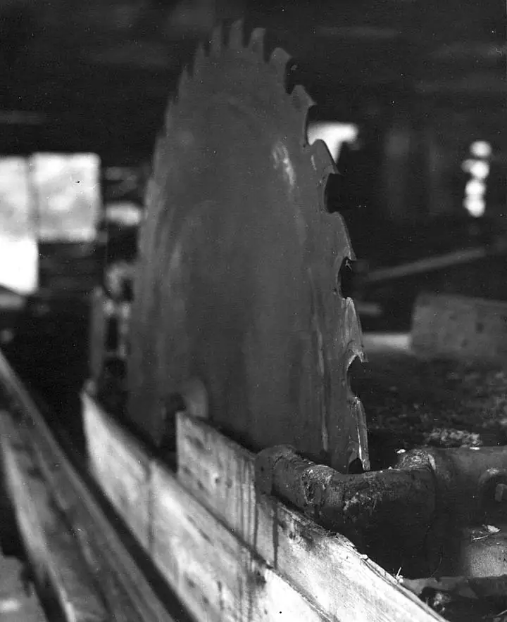 Close view of a large toothed circular saw blade mounted in woodworking machinery.