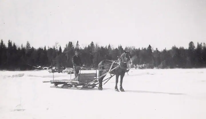 A person stands on a horse-drawn sled in a snowy open area beside a forest and several automobiles.