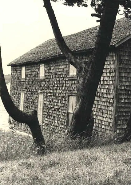 A weathered shingle-clad building stands behind large trees in a black-and-white photograph.