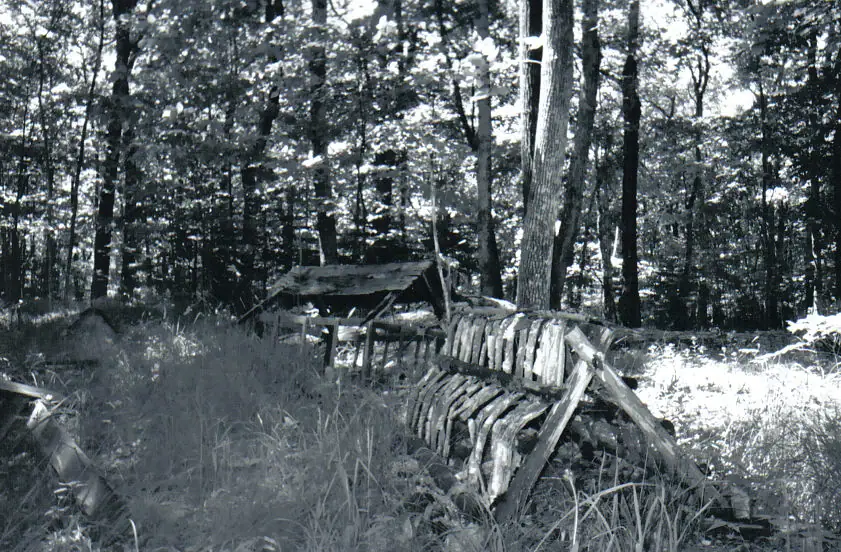 Black-and-white photograph of a weathered wooden fence and small roofed structure in a wooded clearing.