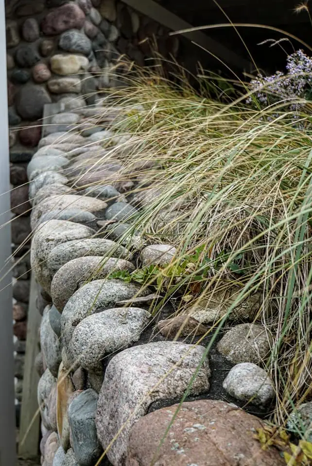 Rounded stones form a wall beside tall grasses and purple flowers outside a dark-sided structure.