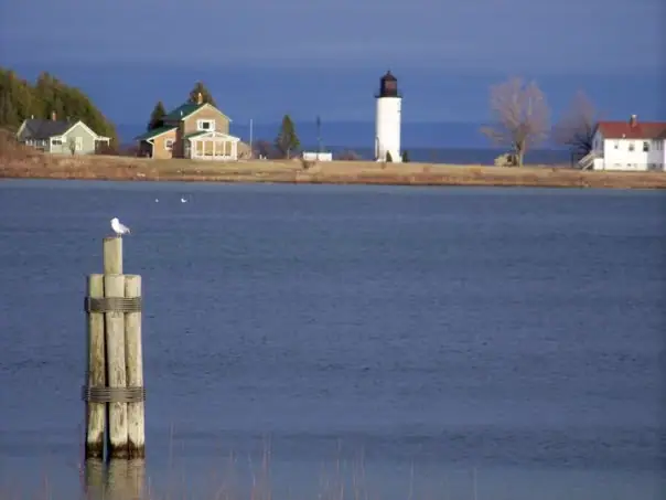 A gull perches on a wooden piling across from a lighthouse and houses along the shore.