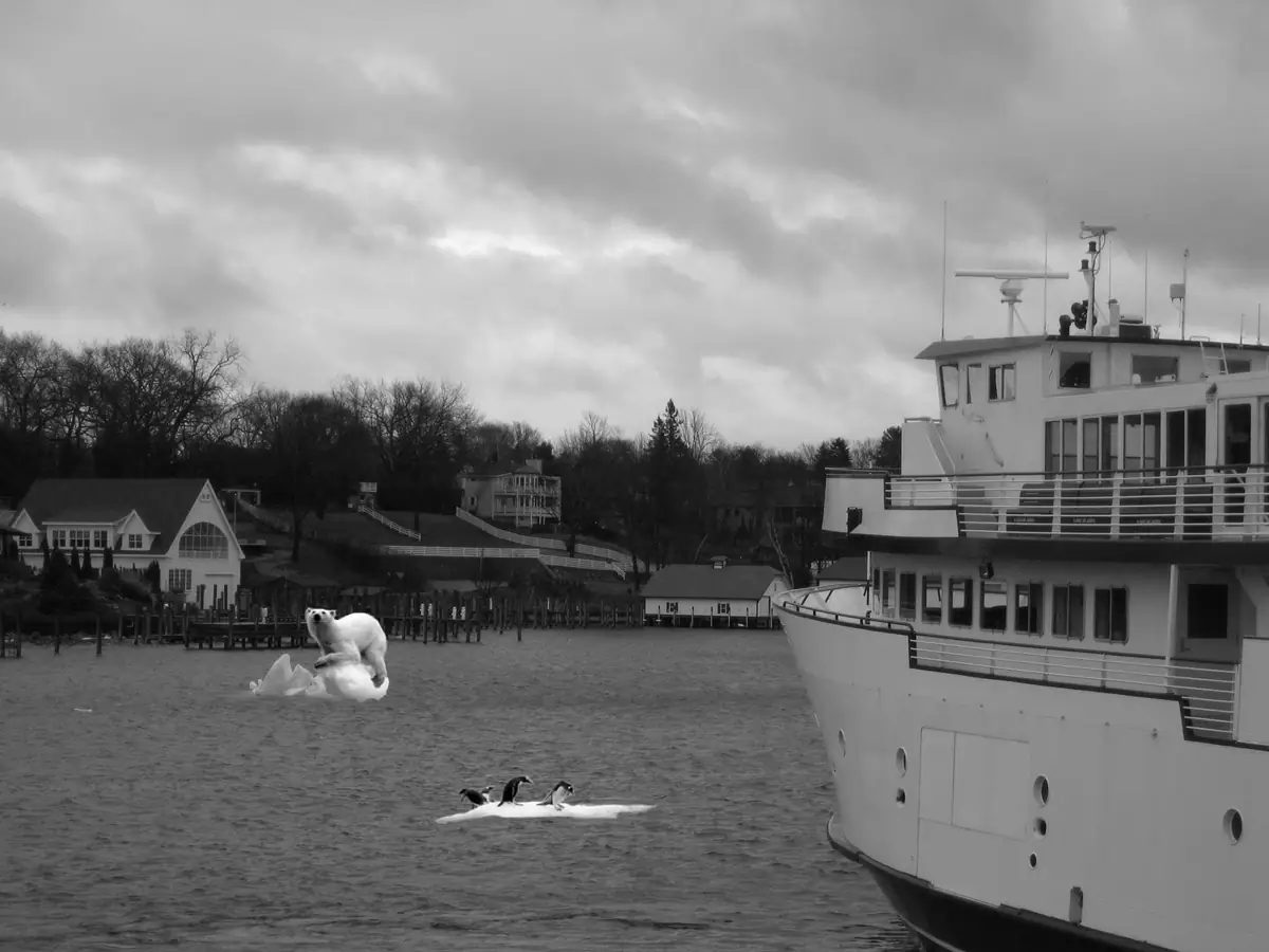 Black-and-white harbor scene with a large ferry, waterfront buildings, ice floes, a polar bear, and penguins.