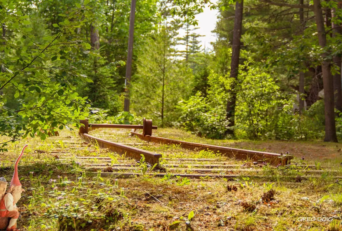 A garden gnome appears beside rusted railway tracks running through dense woodland.