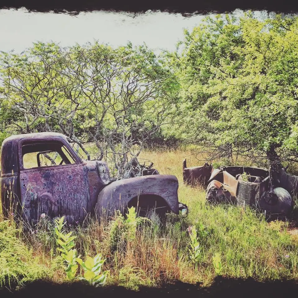 Two heavily rusted vintage vehicles sit amid tall grass and trees.
