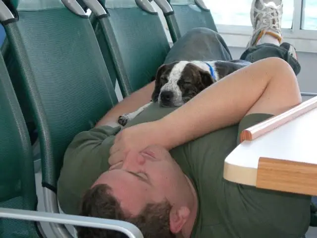 A reclining man rests across green passenger seats with a small dog on his chest.