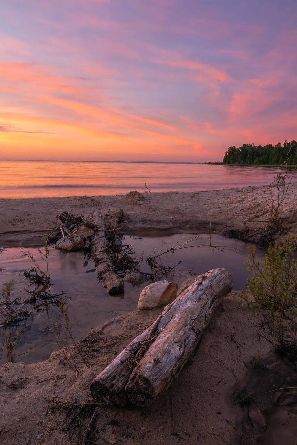 Sunset over calm water beside a sandy shoreline with driftwood and trees.