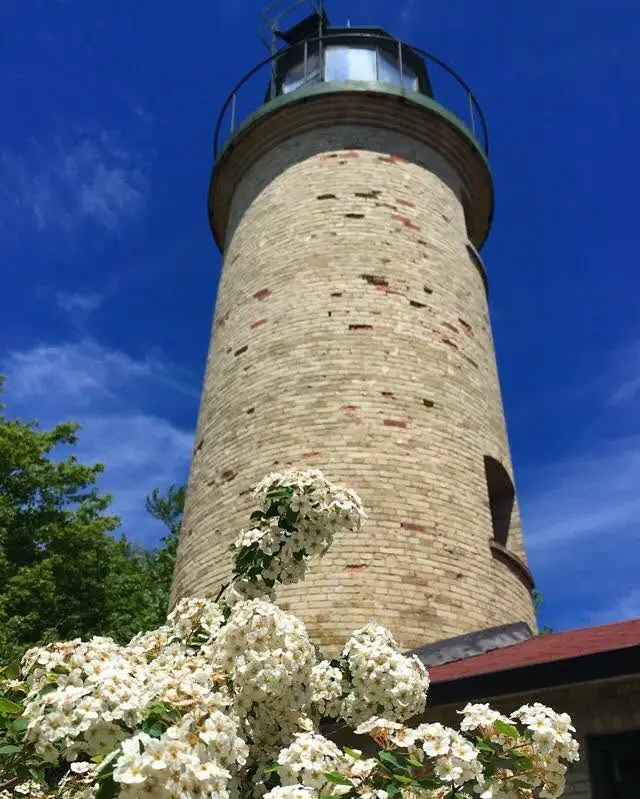 Low-angle view of a cylindrical brick lighthouse tower with a lantern room and white flowers in the foreground.