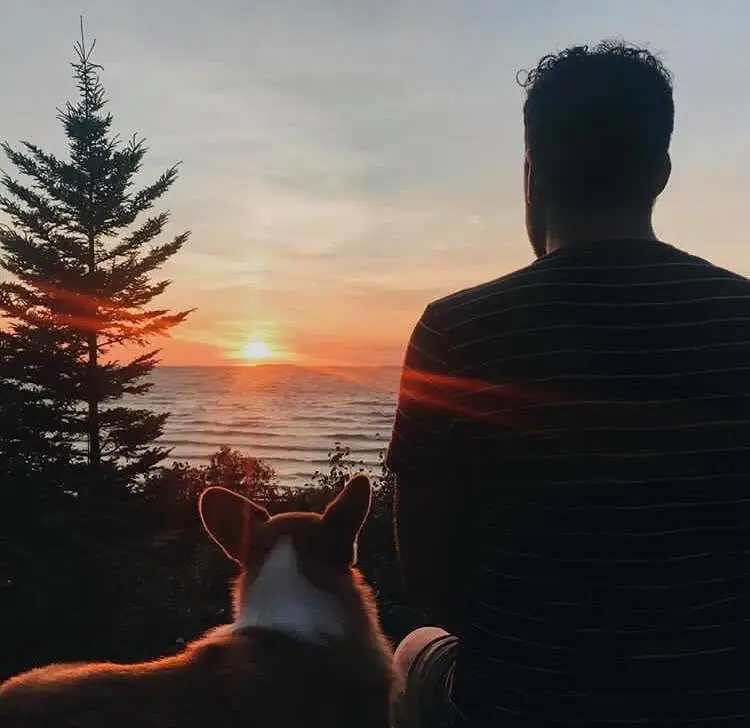 A person and dog sit beside a conifer, facing a glowing sunset over rippling water.