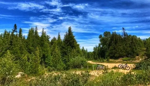 A sandy trail curves through dense green forest, with two bicycles resting beside it beneath a blue, cloud-streaked sky.