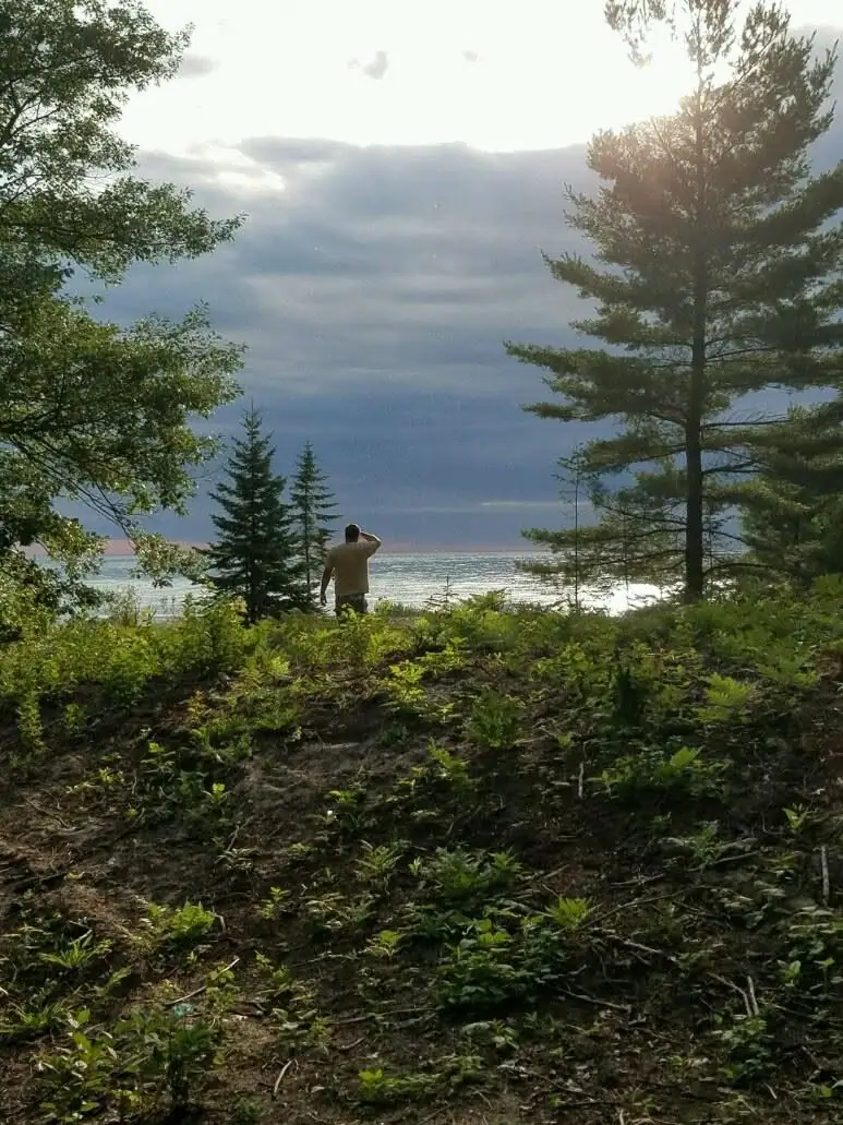 A person stands among trees and low vegetation, looking toward a bright shoreline beneath dark clouds.
