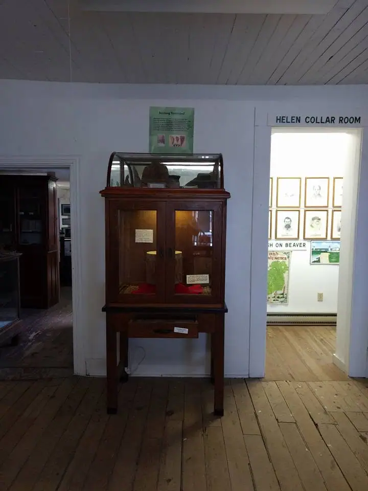 Museum interior with a wooden glass display cabinet, fish-related poster, framed portraits, and a labeled doorway.