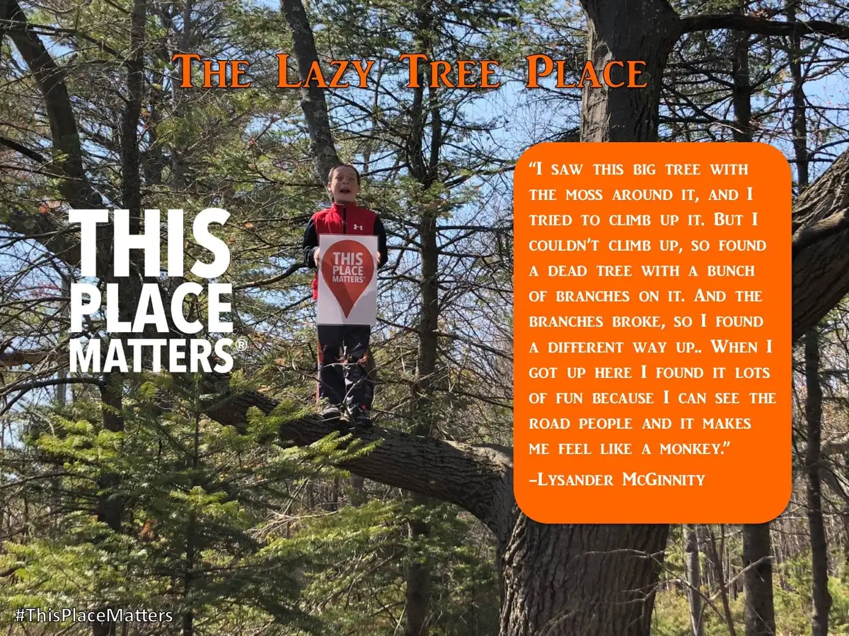 Child standing on a moss-covered tree branch in a forest, holding a “THIS PLACE MATTERS” sign.