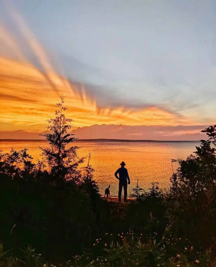 A silhouetted person and dog stand among trees beside calm water beneath a vivid orange sunset.