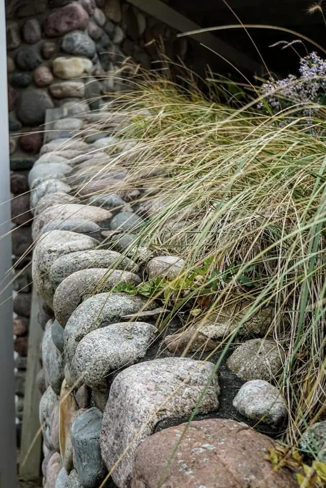 Rounded stones form a retaining wall covered by tall grass and small purple flowers.