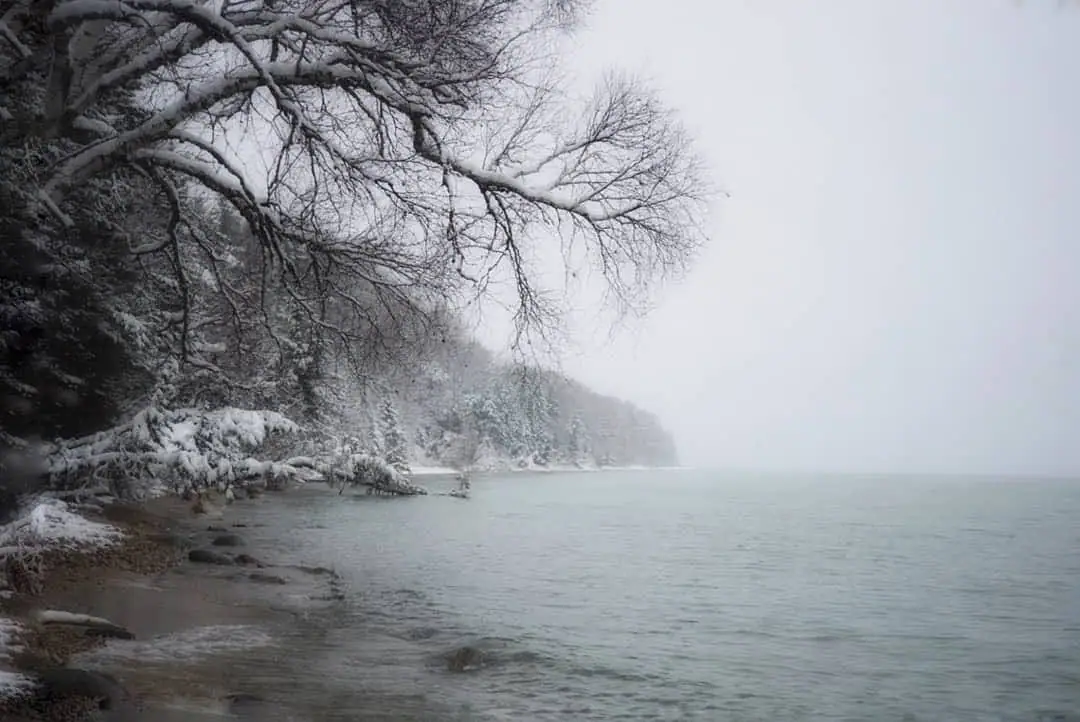 Snow-covered trees and shoreline beside calm water in falling snow and mist.