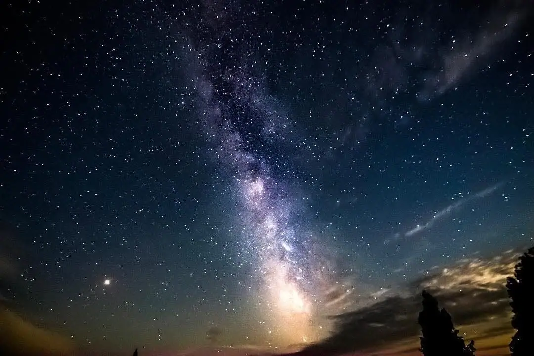 The Milky Way rises above silhouetted trees beneath a star-filled night sky.