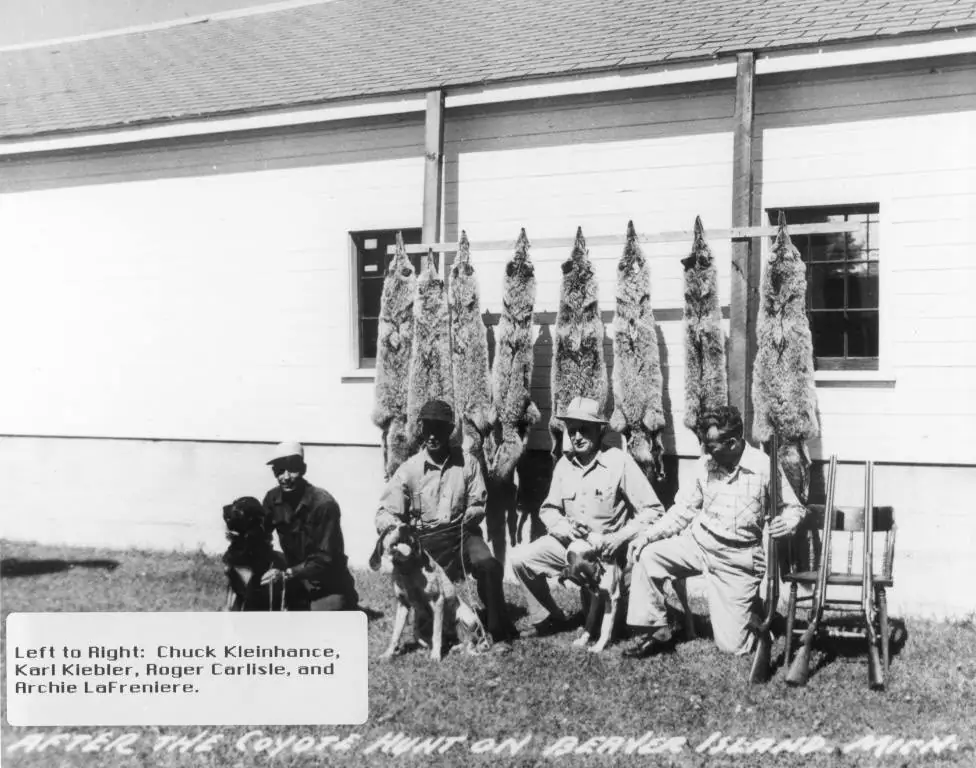 Four men and two dogs pose beneath a row of hanging animal pelts outside a building, with rifles and chairs nearby.