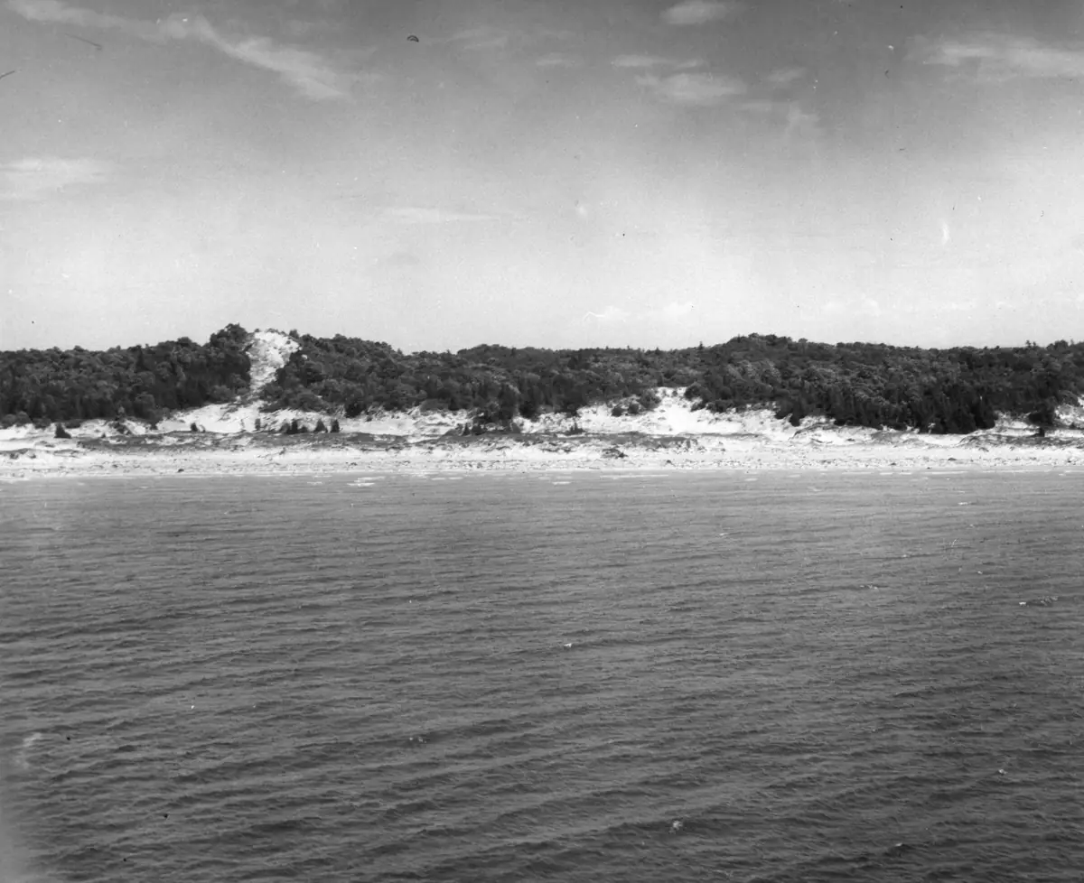 Black-and-white photograph of rippled water facing a sandy shoreline backed by forested dunes.