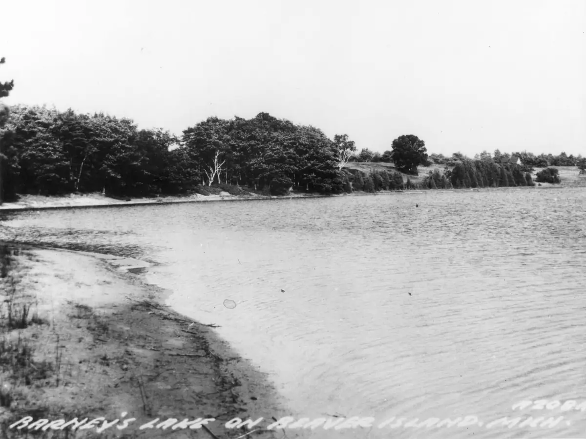 Black-and-white view of a curving sandy shoreline, rippled water, and wooded far shore.