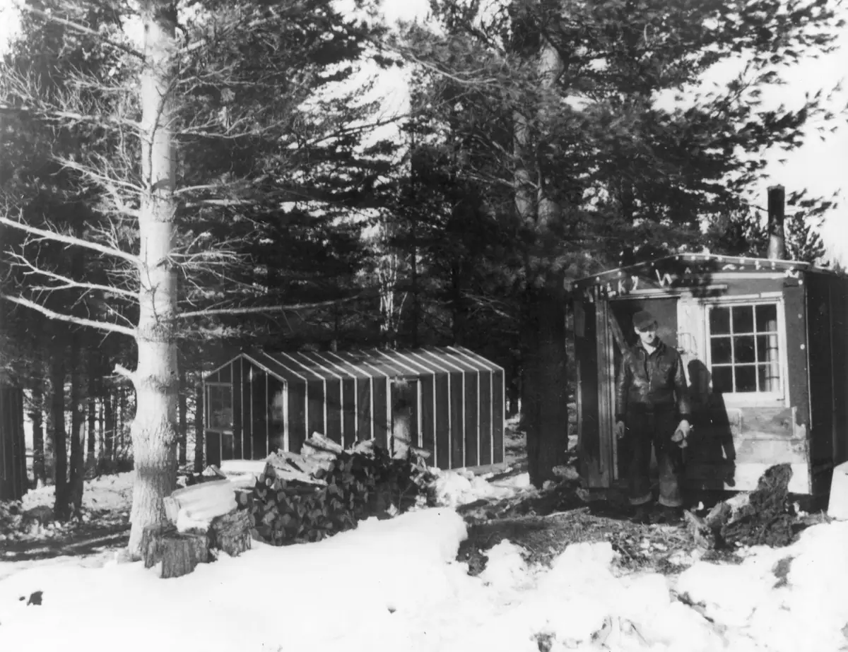 A man stands beside a small wooden cabin and stacked firewood in a snowy forest.
