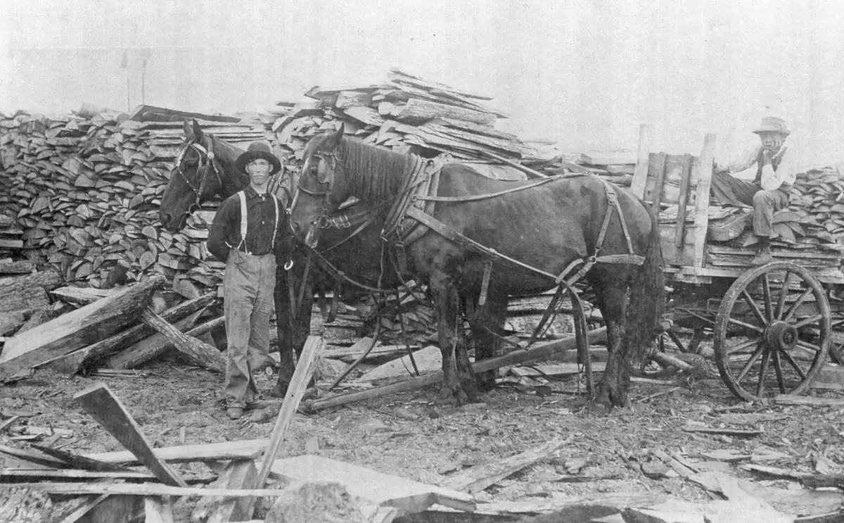 Two men and a team of horses stand beside a wooden wagon amid piles of rough-cut lumber.