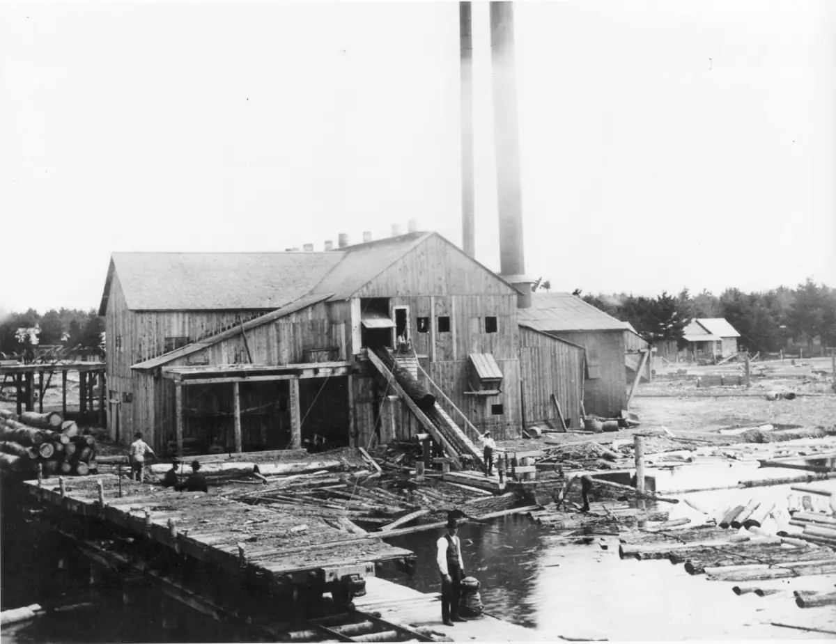 Black-and-white photograph of a waterfront lumber mill with workers, logs, conveyors, and tall smokestacks.