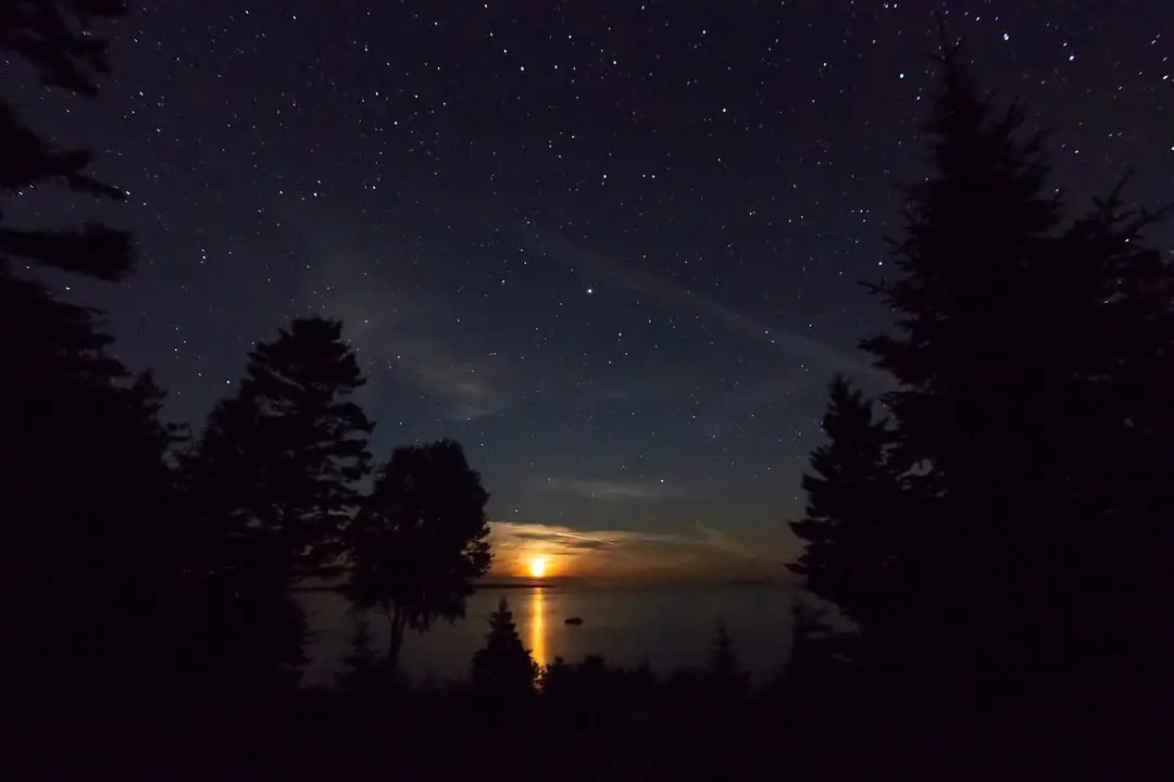 A bright orange moon reflects on dark water beneath a star-filled sky framed by silhouetted trees.