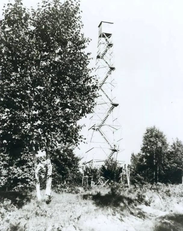 A tall metal observation tower with multiple platforms and stairways stands among trees and brush.