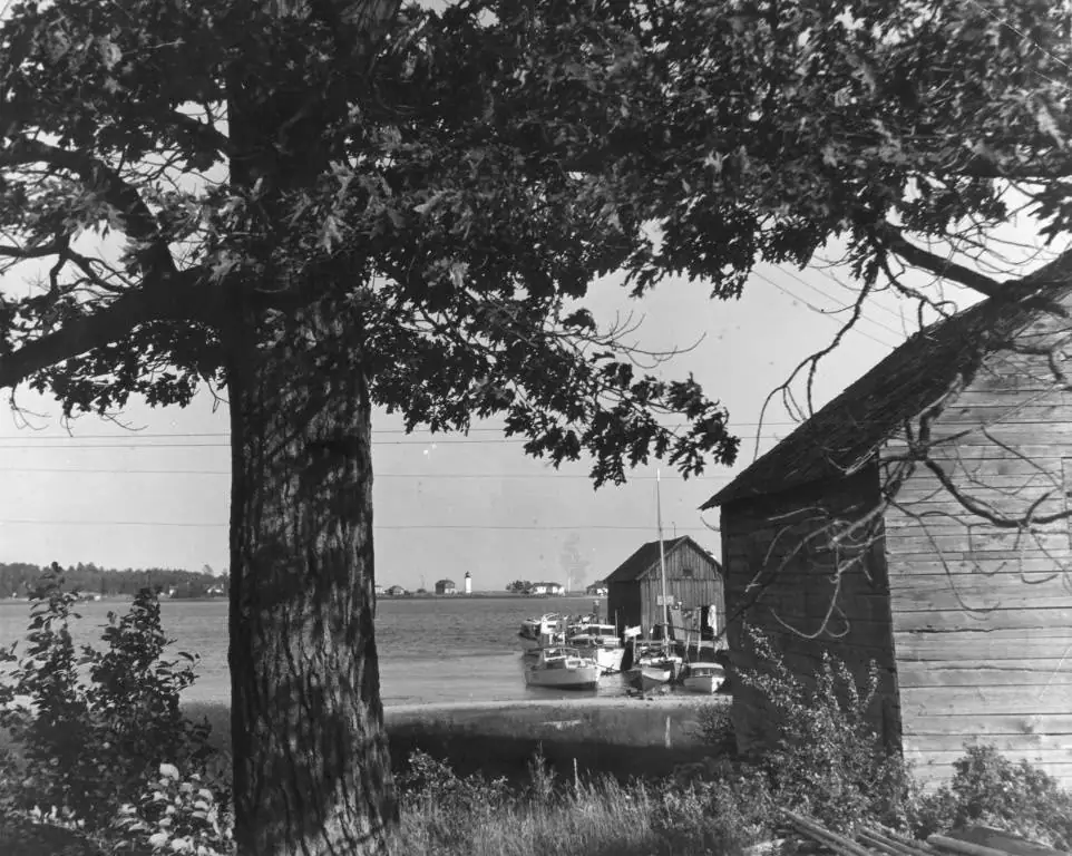 Black-and-white shoreline scene with a large tree, wooden sheds, small boats, and a distant white tower.
