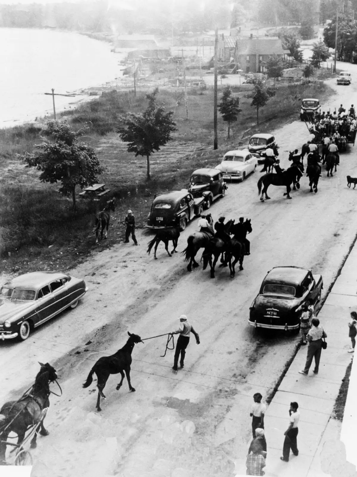 Horses and riders move along a waterfront road crowded with vintage automobiles and onlookers.