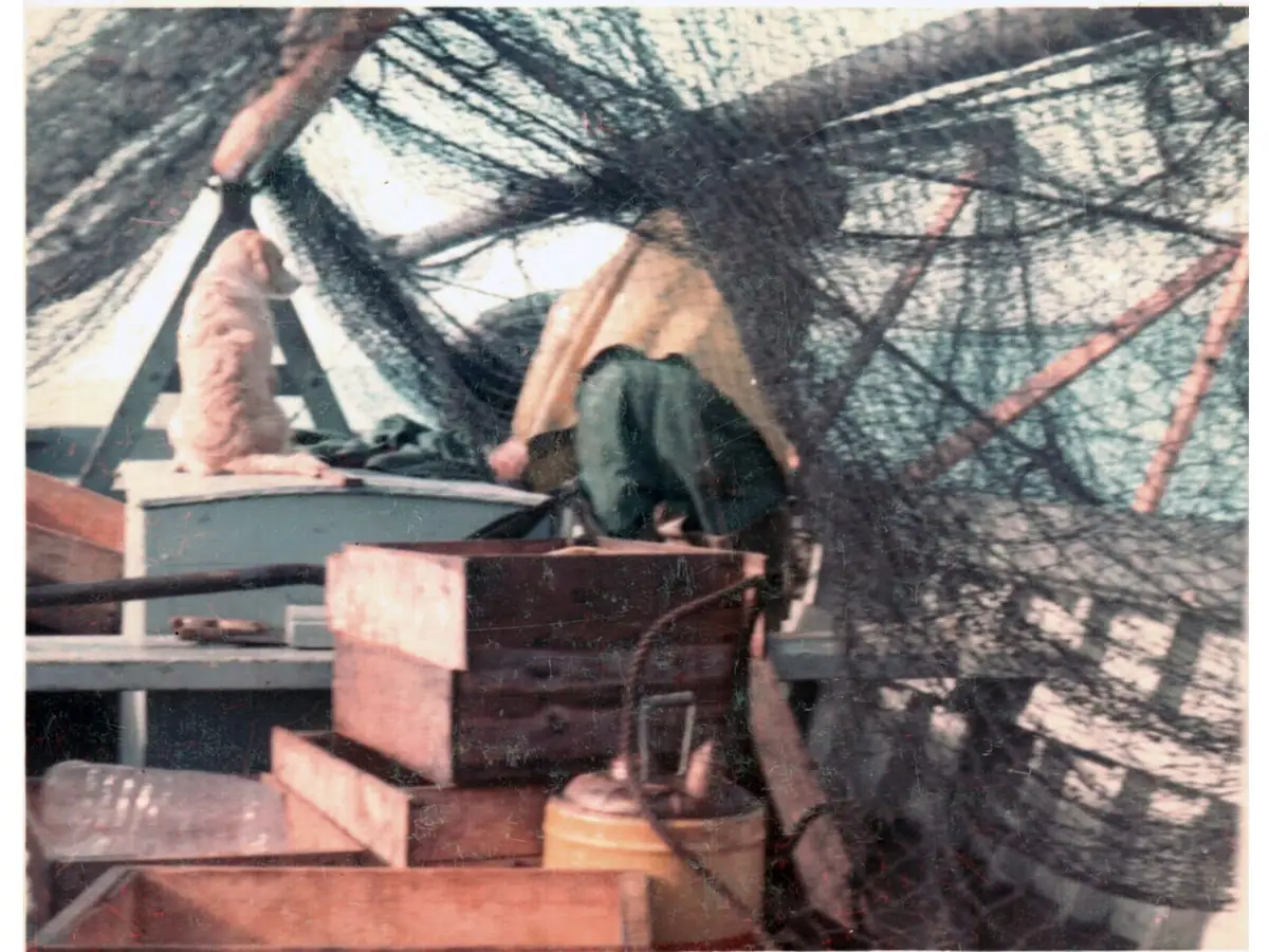 A person works beneath a large fishing net on a boat deck while a small dog stands nearby.