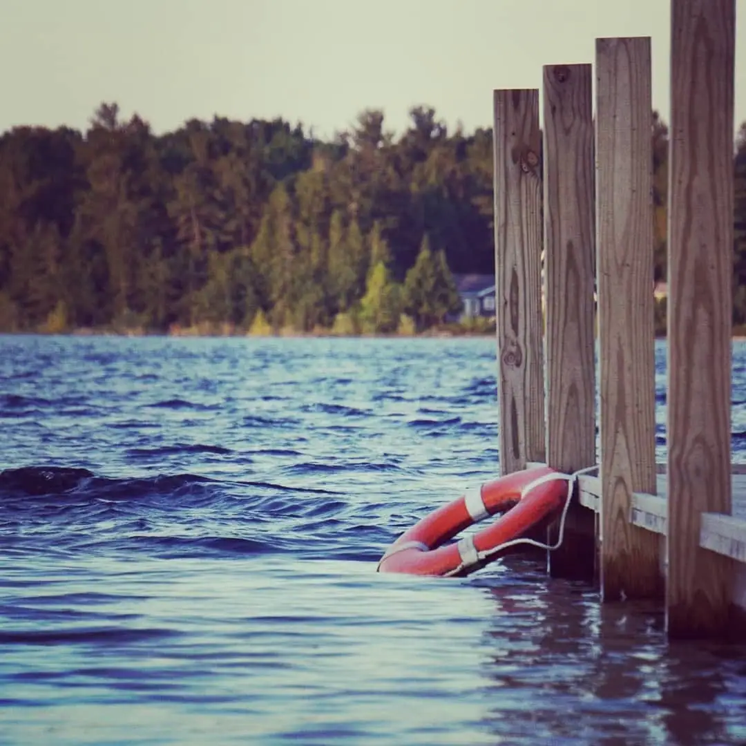 A red-and-white lifebuoy floats beside a wooden pier, with rippled water and a forested shore behind it.