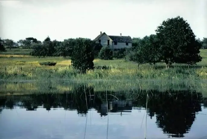 A small rural house stands beyond a reed-lined pond, with its reflection visible in the water.