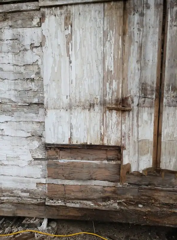 Close view of a weathered wooden wall with peeling white paint, exposed boards, and a yellow cable.