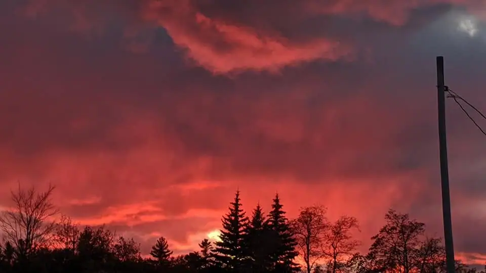 Red sunset clouds glow above silhouetted evergreen and deciduous trees, with a utility pole at right.