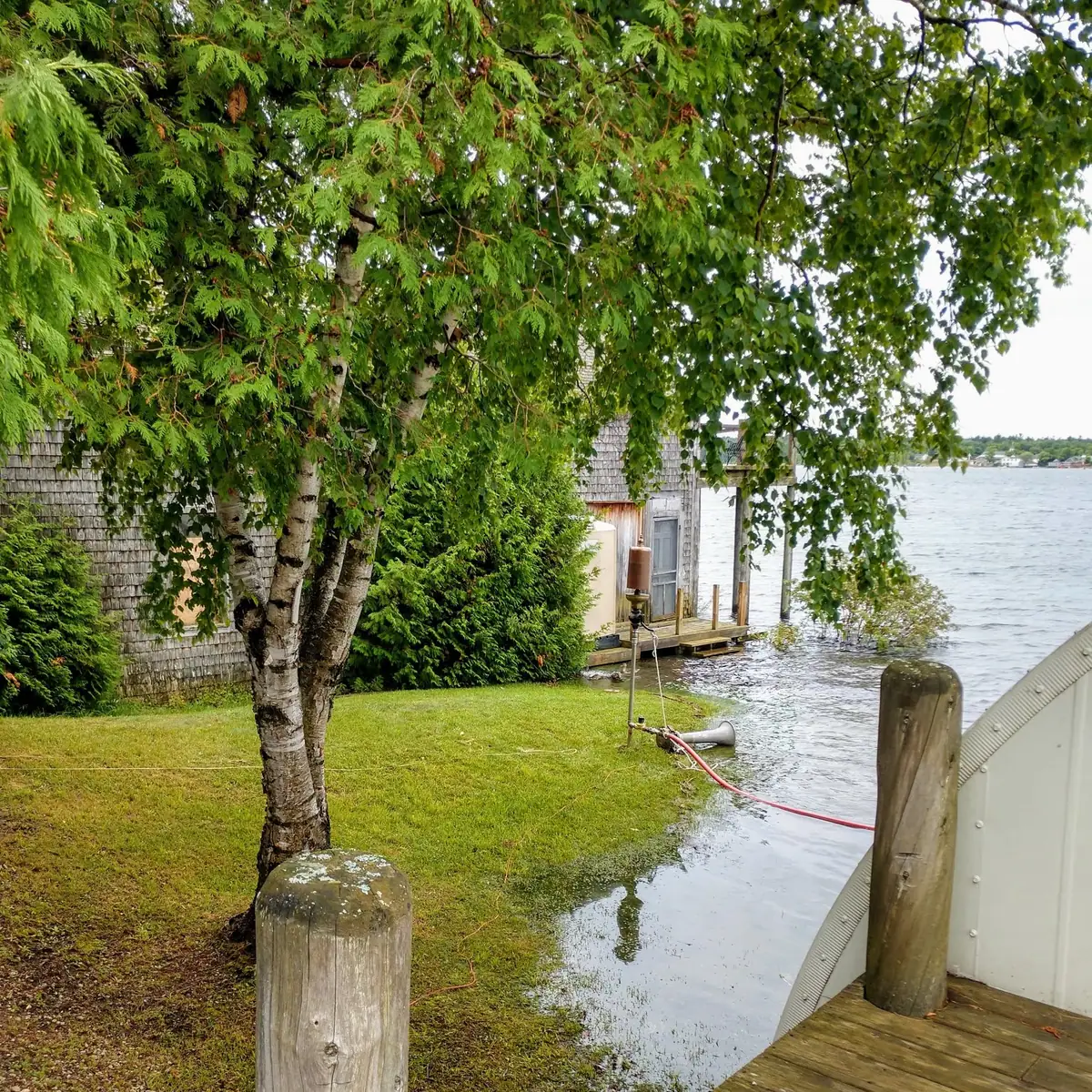 A flooded waterfront yard with a birch tree, shingled house, dock, and red hose extending into the water.