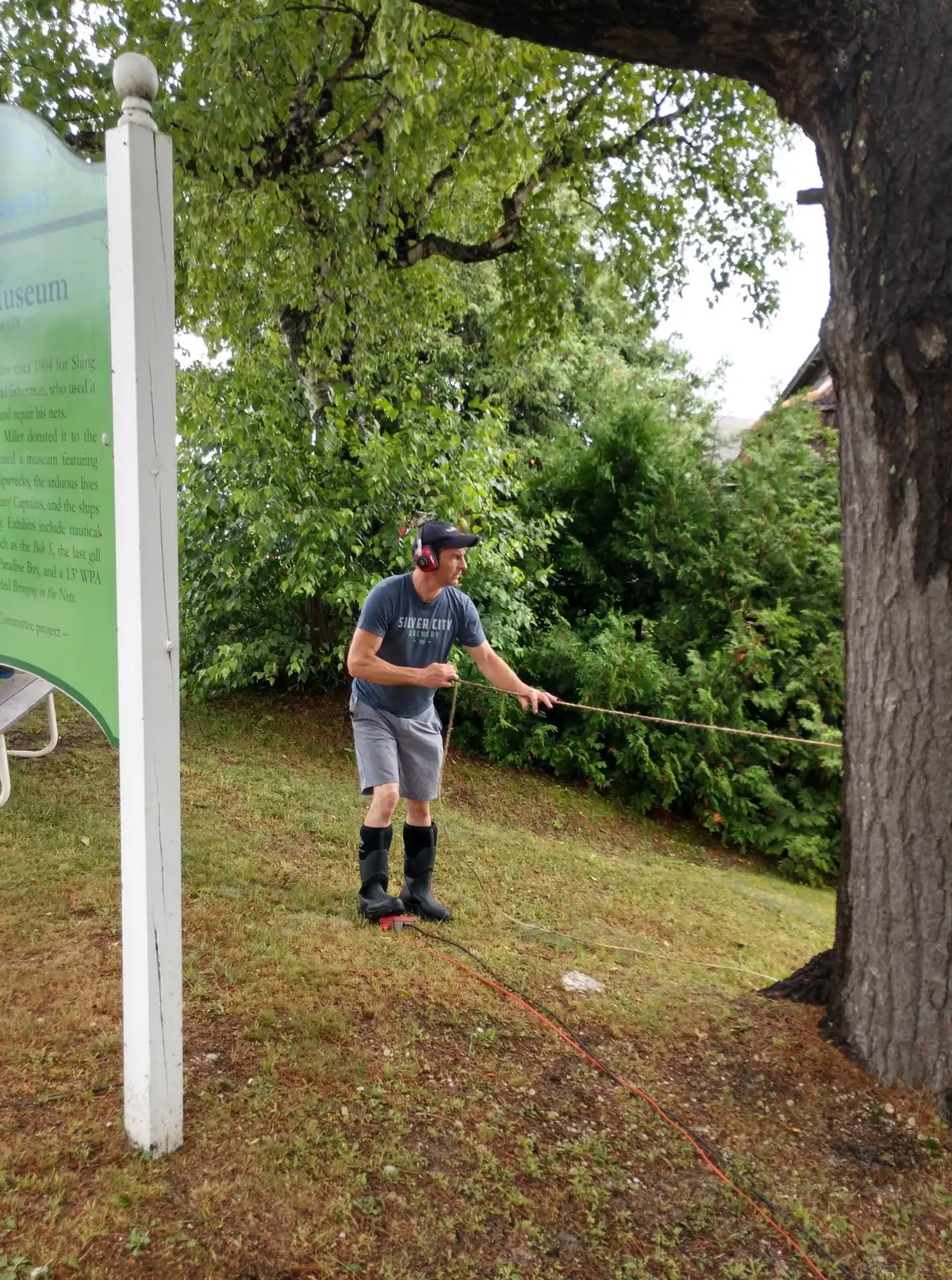 A man in rubber boots pulls a rope beside a large tree and a green informational sign.